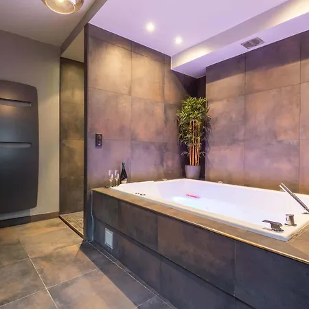 Heritage Et Privative Avec Jacuzzi Et Sauna Hyper Centre Digione
