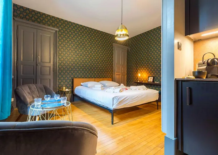 Heritage Et Privative Avec Jacuzzi Et Sauna Hyper Centre