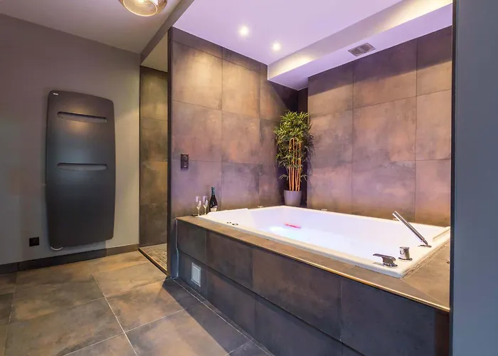 Heritage Et Privative Avec Jacuzzi Et Sauna Hyper Centre Dijon