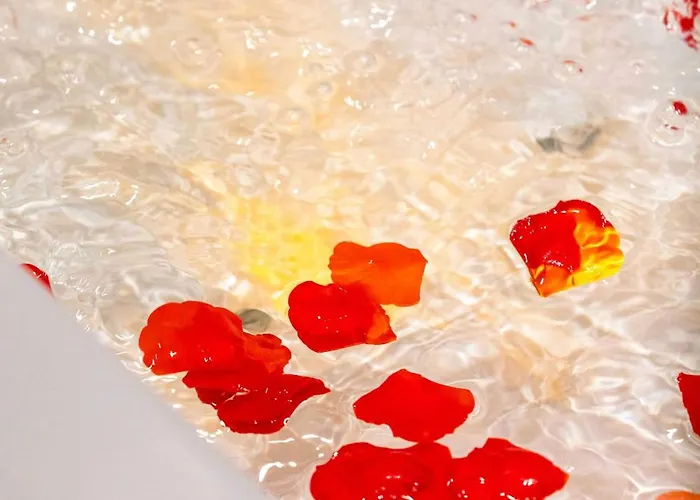 Heritage Et Privative Avec Jacuzzi Et Sauna Hyper Centre * 디종