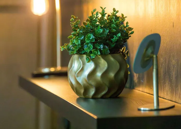 Heritage Et Privative Avec Jacuzzi Et Sauna Hyper Centre 아파트