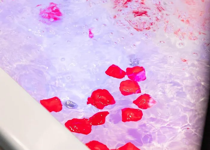 Heritage Et Privative Avec Jacuzzi Et Sauna Hyper Centre * Dijon